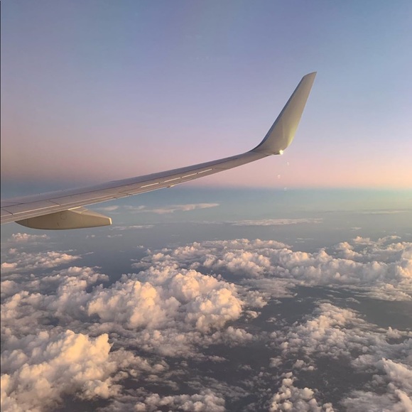 Meet your Posher, Zoey - Picture 1 of 1